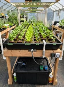 Ebb and flow hydroponics system.
